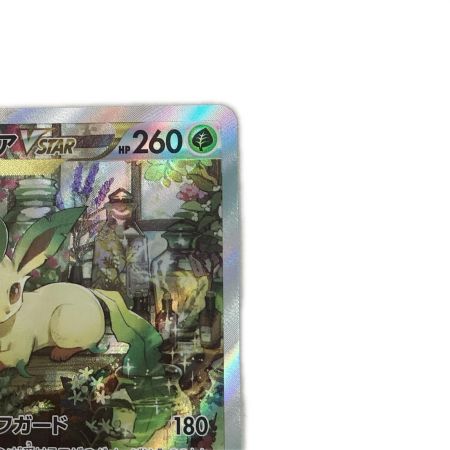   トレカ ポケモンカード リーフィアVSTAR 210/172/S12a/B SAR