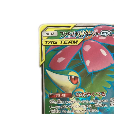   トレカ ポケモンカード フシギバナ＆ツタージャGX 065/064/SM11a/B SR