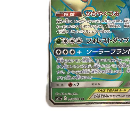   トレカ ポケモンカード フシギバナ＆ツタージャGX 065/064/SM11a/B SR
