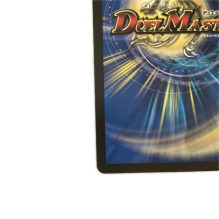   トレカ デュエルマスターズ 我我我ガイアール・ブランド 25EX3KGMSP1/SP6