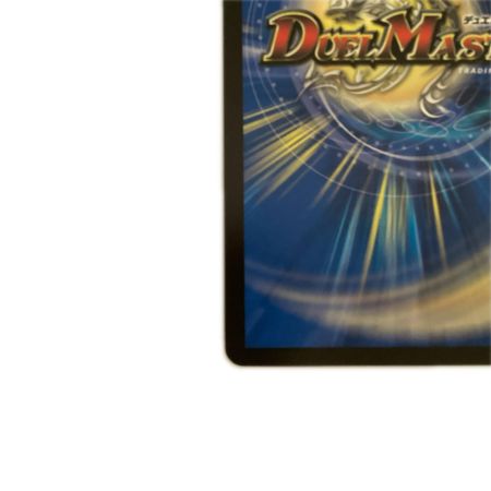   トレカ デュエルマスターズ 氷柱と炎弧の決断 VRP84/Y24