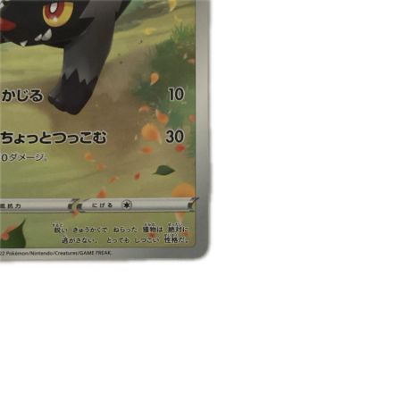   トレカ ポケモンカード ポチエナ 208/172/S12a/B AR