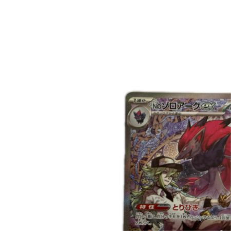   トレカ ポケモンカード Nのゾロアークex 242/193/M2a/B SAR