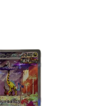   トレカ ポケモンカード タケルライコex 095/071/SV5K/B SAR