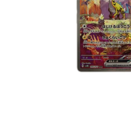   トレカ ポケモンカード タケルライコex 095/071/SV5K/B SAR
