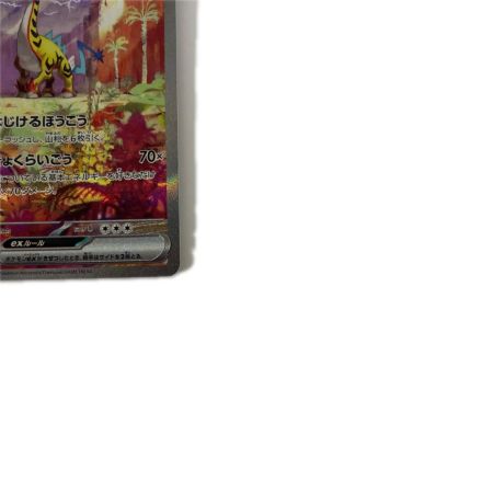   トレカ ポケモンカード タケルライコex 095/071/SV5K/B SAR