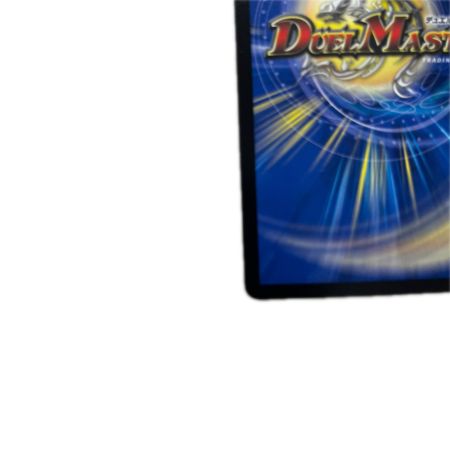 トレカ デュエルマスターズ 星龍ゴージャス・アース 26EX1SRN5/HN5