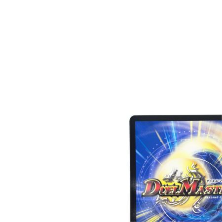 トレカ デュエルマスターズ 血貴き侵略 ブラッドゾーン DM24EX4H8/H10