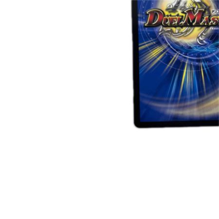 トレカ デュエルマスターズ 血貴き侵略 ブラッドゾーン DM24EX4H8/H10