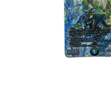 トレカ デュエルマスターズ 流星のガイアッシュ・カイザー 25EX3SRSTR5/STR5