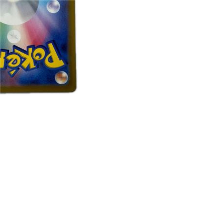 トレカ ポケモンカード エンテイV 213/172/S12a/B SAR