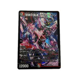 トレカ デュエルマスターズ 禁断の轟速 ブラックゾーン DM22EX2H5A/H12 Bランク