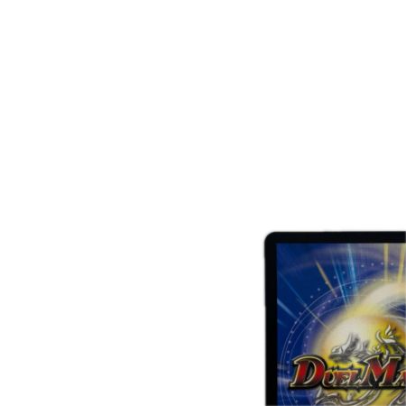 トレカ デュエルマスターズ 「絶対の楯騎士」 DMRP13S1/S11