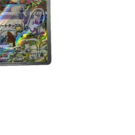 トレカ ポケモンカード ヒトカゲ 051/049/SVG/B