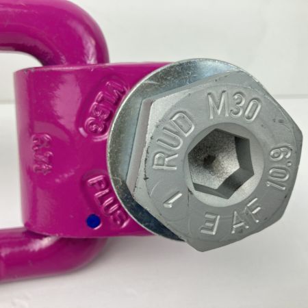 ЗЗ RUD M30 6.7t アイボルト スタンダードボルト ACPトルネード 本体のみ ACP パープル
