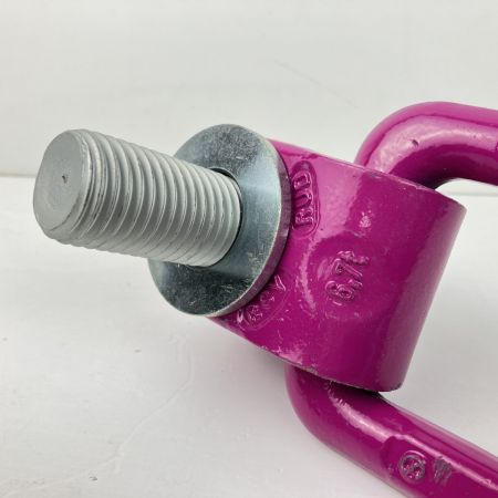 ЗЗ RUD M30 6.7t アイボルト スタンダードボルト ACPトルネード 本体のみ ACP パープル