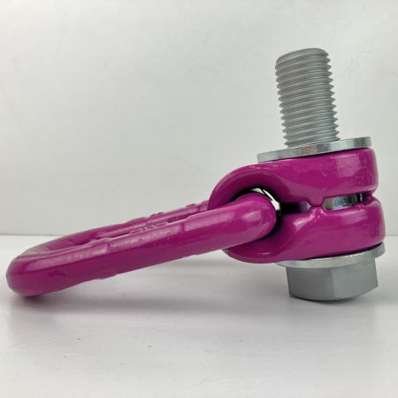 ЗЗ RUD M30 6.7t アイボルト スタンダードボルト ACPトルネード 本体のみ ACP パープル