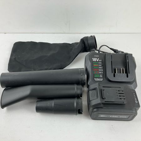 ЗЗ DCM ディーシーエム 18v 充電式ブロワ 充電器 バッテリー×1 ノズル付 ブラック