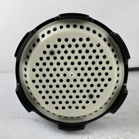 ЗЗ 寺田ポンプ 100v 口径25mm 水中ポンプ 取説 外箱付 CSL-100L ホワイト