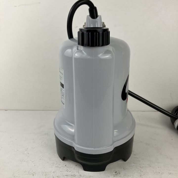 ЗЗ 寺田ポンプ 100v 口径25mm 水中ポンプ 取説 外箱付 CSL-100L