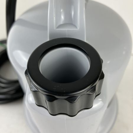 ЗЗ 寺田ポンプ (2) 100v 口径25mm 水中ポンプ 取説 外箱付 CSL-100L ホワイト