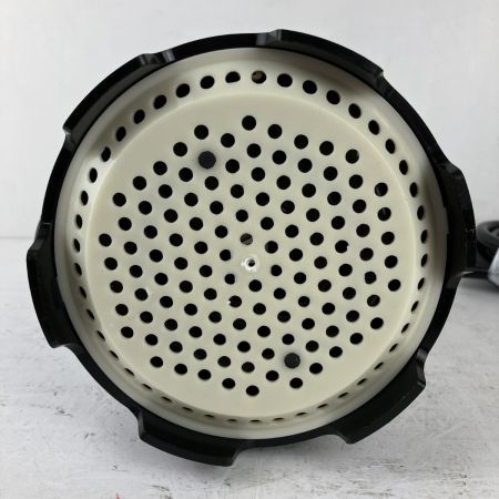 ЗЗ 寺田ポンプ (2) 100v 口径25mm 水中ポンプ 取説 外箱付 CSL-100L ホワイト