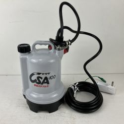 ЗЗ TERADA 100v 口径25mm 水中ポンプ 取説 箱付 CSA-100 ホワイト Sランク