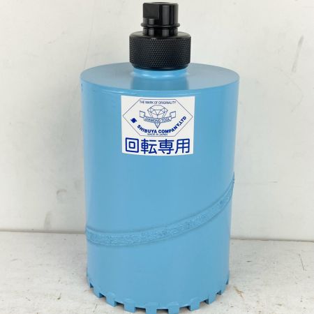 ЗЗ SHIBUYA シブヤ 120mm ドライビット SDSシャンク入り  かん太君2-120 スカイブルー