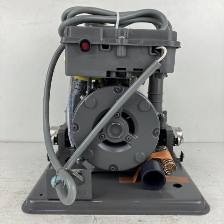 ЗЗ HITACHI 日立 100v 非自動 浅井戸用ポンプ 取説付 W-P125X