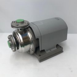 ДД 岩谷電機製作所 イワヤポンプ 251SS502 Bランク