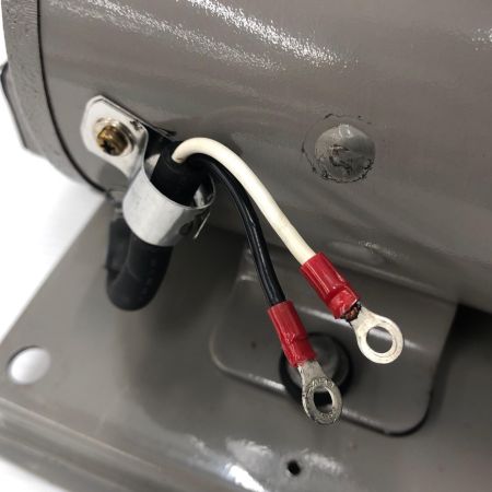 ДД 岩谷電機製作所 イワヤポンプ 251SS502