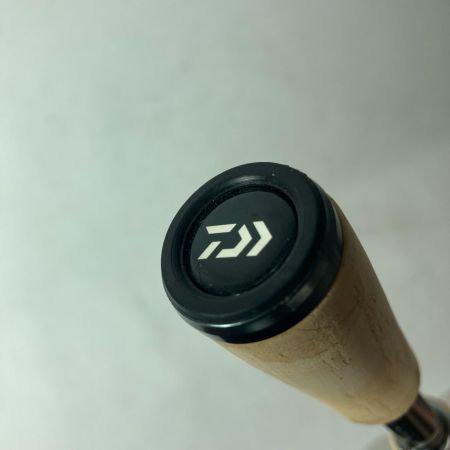DAIWA ダイワ バスロッド 19ブラックレーベルSG 641LFB 05807001 竿袋付