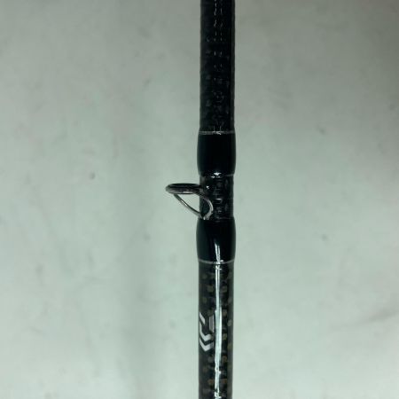 DAIWA ダイワ バスロッド 19ブラックレーベルSG 641LFB 05807001 竿袋付