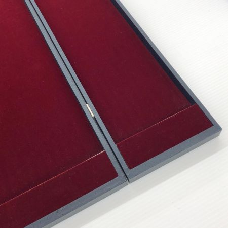 σσ  ウキケース 金鯱