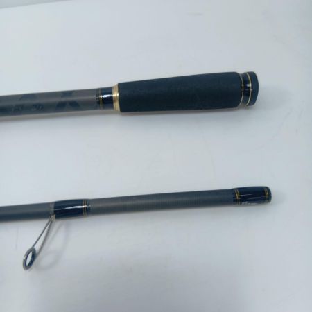 Abu Garcia アブガルシア ルアーロッド Abu Garcia 01C19BK ソルティースタイル902H-KR 01C19BK