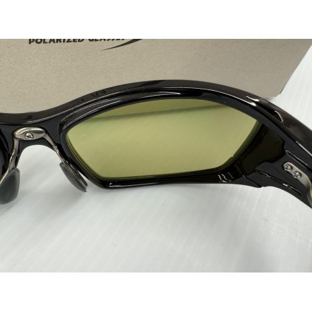 σσ TIEMCO ティムコ サイトマスター インテグラルブラック　イーズグリーン/シルバーミラー