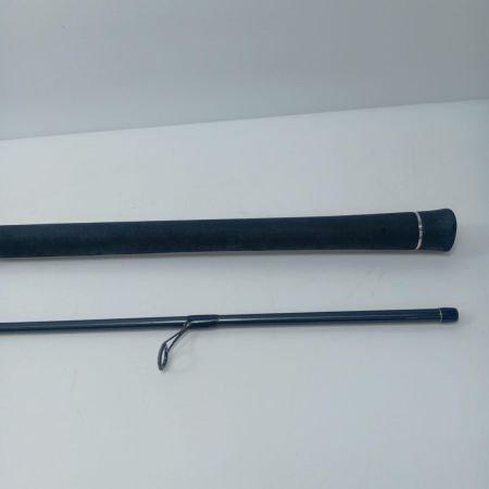 TENRYU CO. 天龍 ロッド ルアーロッド 天龍 MP100ML マスタープラン サビ有 程度B MP100ML