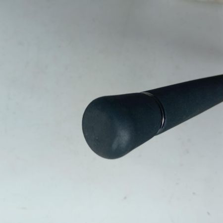 DAIWA ダイワ シーバスロッド ラブラックス AGS106M 01480031 竿袋付