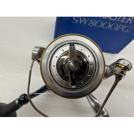 σσ SHIMANO シマノ 13バイオマスターSW 8000PG 程度C SE33 03162