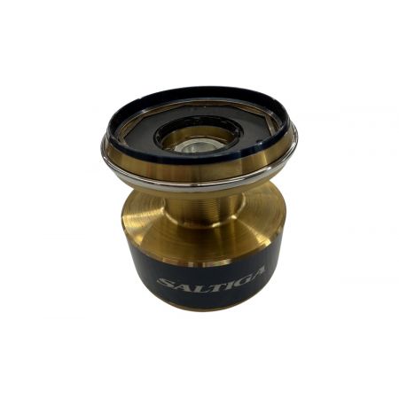σσ DAIWA ダイワ 20ソルティガ 8000　替スプール 程度A