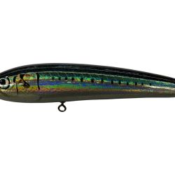 σσ CARPENTER ブルーフィッシュ60-170 Bランク