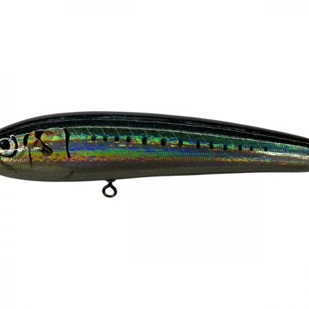 σσ CARPENTER ブルーフィッシュ60-170