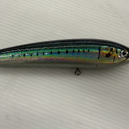 σσ CARPENTER ブルーフィッシュ60-170