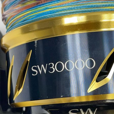 SHIMANO シマノ 13ステラSW30000 03074