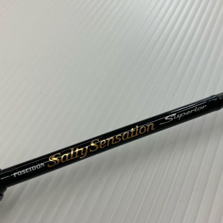 σσ EVER GREEN エバーグリーン ルアーロッド ソルティセンセーション スペリオル サンダーショット SPRS-65L-T