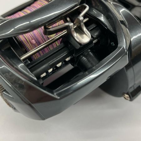 σσ DAIWA ダイワ タトゥーラ TW 300L 630102