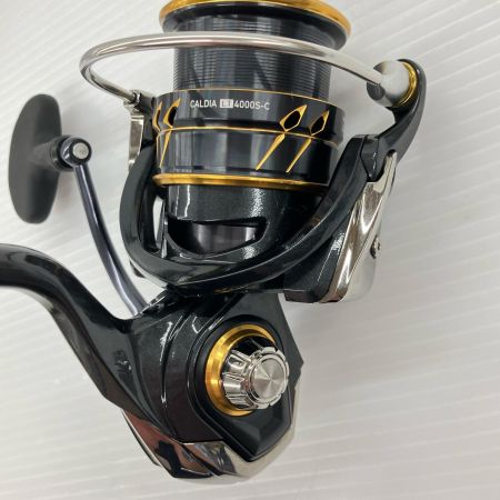 σσ DAIWA ダイワ スピニングリール 21カルディア LT4000S-C 063213