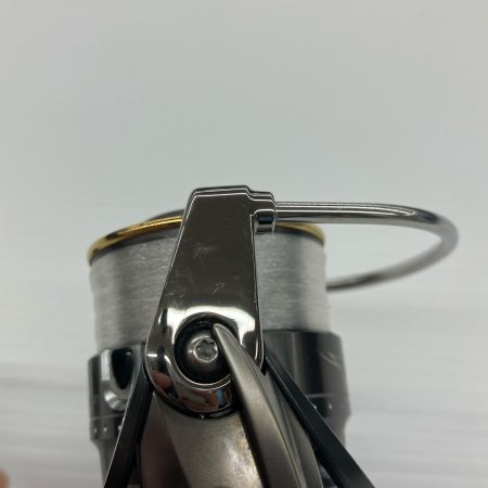 DAIWA ダイワ スピニングリール 17スティーズ タイプ1  056321