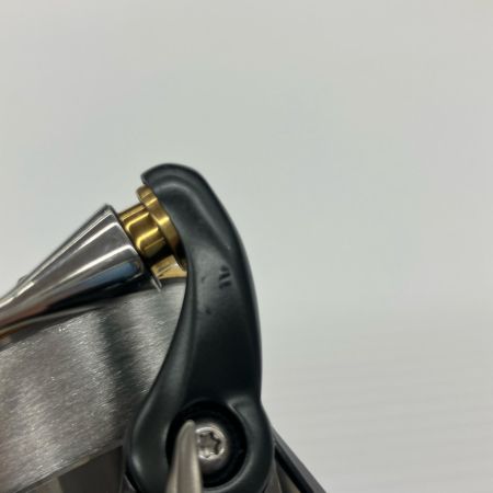 DAIWA ダイワ スピニングリール 17スティーズ タイプ1  056321