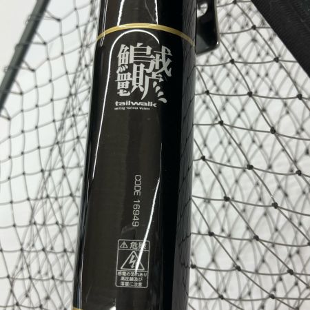 σσ tailwalk テイルウォーク キャッチバー改マイクロ480 程度B 16949